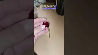 Вишня с хозяйством 😂😁 #shorts