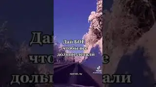 Два крыла