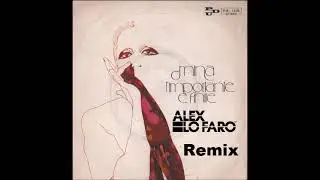 Mina L'importante e' finire Alex Lo Faro remix