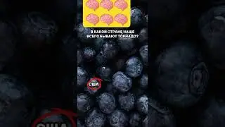 Тест на IQ. Проверь свой ИНТЕЛЛЕКТ 