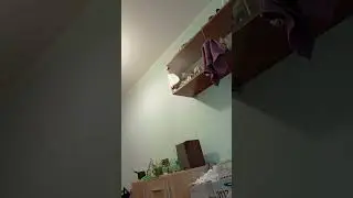#Исповедь пенсионера...