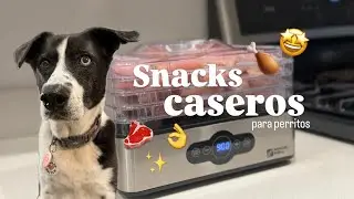 Máquina para deshidratar snacks (versión para perros!)