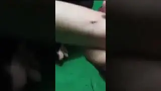 PASANG SUSUK