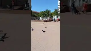 5 июня 2021 г.