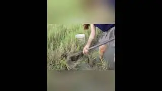 Intip CD Abg Cantik dan mulus putih