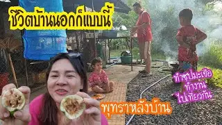Ep.820 ชีวิตบ้านนอกก็แบบนี้ /ซุปมะเขือ/ทำงาน/ไปเที่ยวกัน #แม่บ้านอีสาน