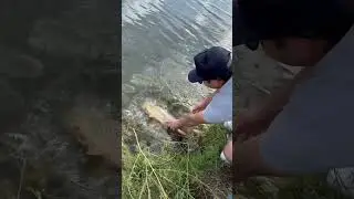 Fishing with worms #fishing #shorts