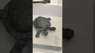 Плевательница 