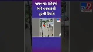 જામનગર શહેરમાં ભારે વરસાદથી પૂરની સ્થિતિ | #jamnagar #gujarat #shorts