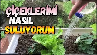 How to Make a Flower Watering Apparatus