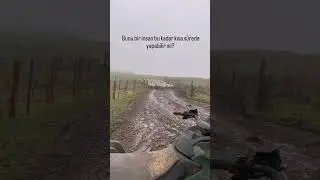 AKILLI ÇOBAN KÖPEĞİ
