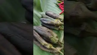 Dinengdeng na Bagbagkong/Sabidukong (A Rainy Season Wild Vine Flower🇵🇭)