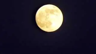 Superluna con pájaro. Supermoon with bird [23-06-2013]