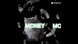 money money #capcut #cat #subscribe #tiktok #cutecat