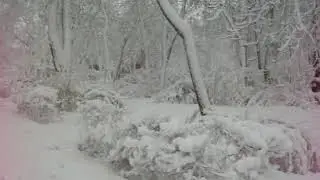 ПРОГУЛКА В ЦАРСТВЕ ЗИМЫ  !