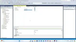Sql Server hatası çözümü ve mssql'e giriş