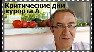 Плохие новости с Анапы: у людей света мало, воды нет, море зеленое