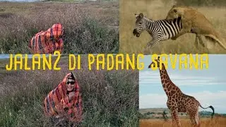 JALAN2 DI PADANG SAVANA BINATANG NYA   UNIK UNIk