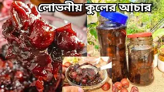 সহজ পদ্ধতিতে টক ঝাল মিষ্টি কুলের আচার | Perfect Kuler Achar | Berry or Jujube Pickle | Suzzlers