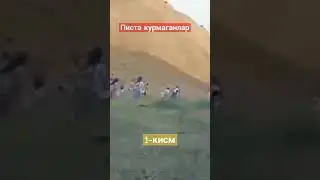 писта курмаганми булар умрида