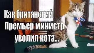СМЕНА ВЛАСТИ В ВЕЛИКОБРИТАНИИ.  @КТО УВОЛИЛ КОТА ЛАРРИ?..