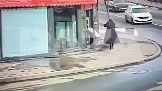 Дарью Трепову, подозреваемую в убийстве Владлена Татарского, не задержали