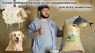 УНЕВЕРСАЛЬНАЯ КОРМАВАЯ ДОБАВКА.