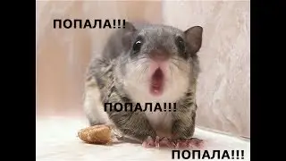 ПОСЛЕ ТОГО, КАК НЕ ИГРАЛА МЕСЯЦ В ТАНКИ