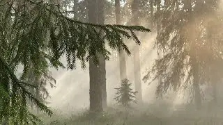 Сплав по р. Суне, 2022