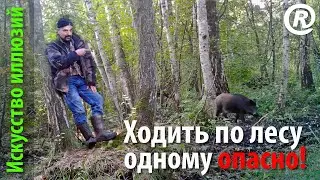 Ходить по лесу одному опасно! Самая короткая лекция о безопасности в дикой природе.