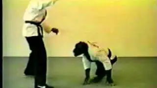Banned Commercials- Real Monkey Doing Kung Fu