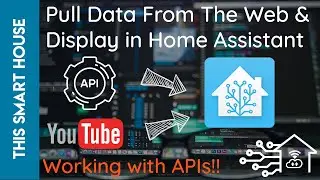 Pull Data From The Web & Display In Home Assistant - Working with APIs - Display YouTube Sub Count