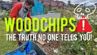 Gardners MUST use Woodchips correctly! - Allotment No Dig Mulching.