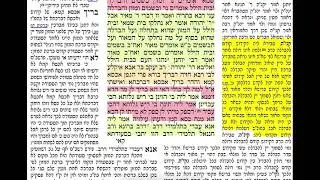 הדף היומי מסכת פסחים דף קג Daf yomi Pesachim daf 103 להצלחת נאור בראון