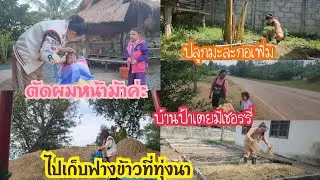Ep.829 ตัดผมให้ลูกสาว / ส่งลูกไปเรียน / แยกต้นมะละกอ / พี่เตยมาปลูกกะหล่ำ #แม่บ้านอีสาน