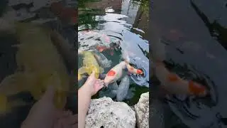 10 июня 2024г Доброе утро! Приятного аппетита))