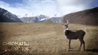Parallax Animation Studio | After Efects Project Files
