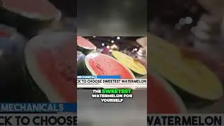 Revolutionize Your Watermelon Game  Insider Tips to Pick the Sweetest!
