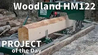 A day at the sawmill.