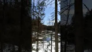 Разлив ручья (смотреть со звуком)