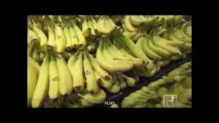 The Supersized Grocery Store | Supermarket Documentary - NatGeo TV