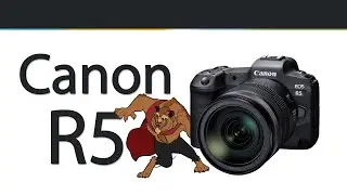 The Canon R5 is a Beast of a Camera - Lets get Aquainted