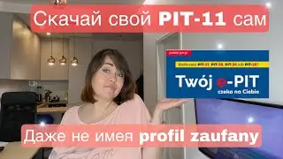 #4. Работодатель не выдал ПИТ11. Что делать? Как найти PIT-11 с помощью Twój e-PIT?