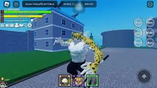 Showcase new fruit leopard |Master Pirate |Upd 3.0