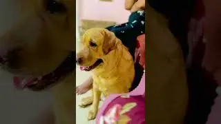 ආහාර අනුභවය 😋♥️