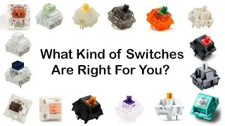 What kind of switches should I get?