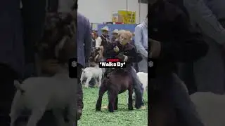 He Was So Confident😬(@rodeohouston)