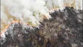 Epic View Of Smoking Wild Fire | Landscape | Shutterstock | Part-6