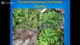 Очитки в Природном Земледелии