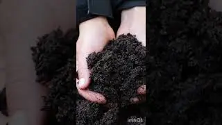 АРМЯНСКАЯ ПОГОВОРКА. ИНГА ХОСРОЕВА. ВЕДЬМИНА ИЗБА.